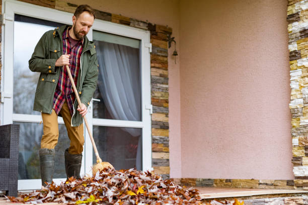 Best Trash Removal Near Me  in St George, SC